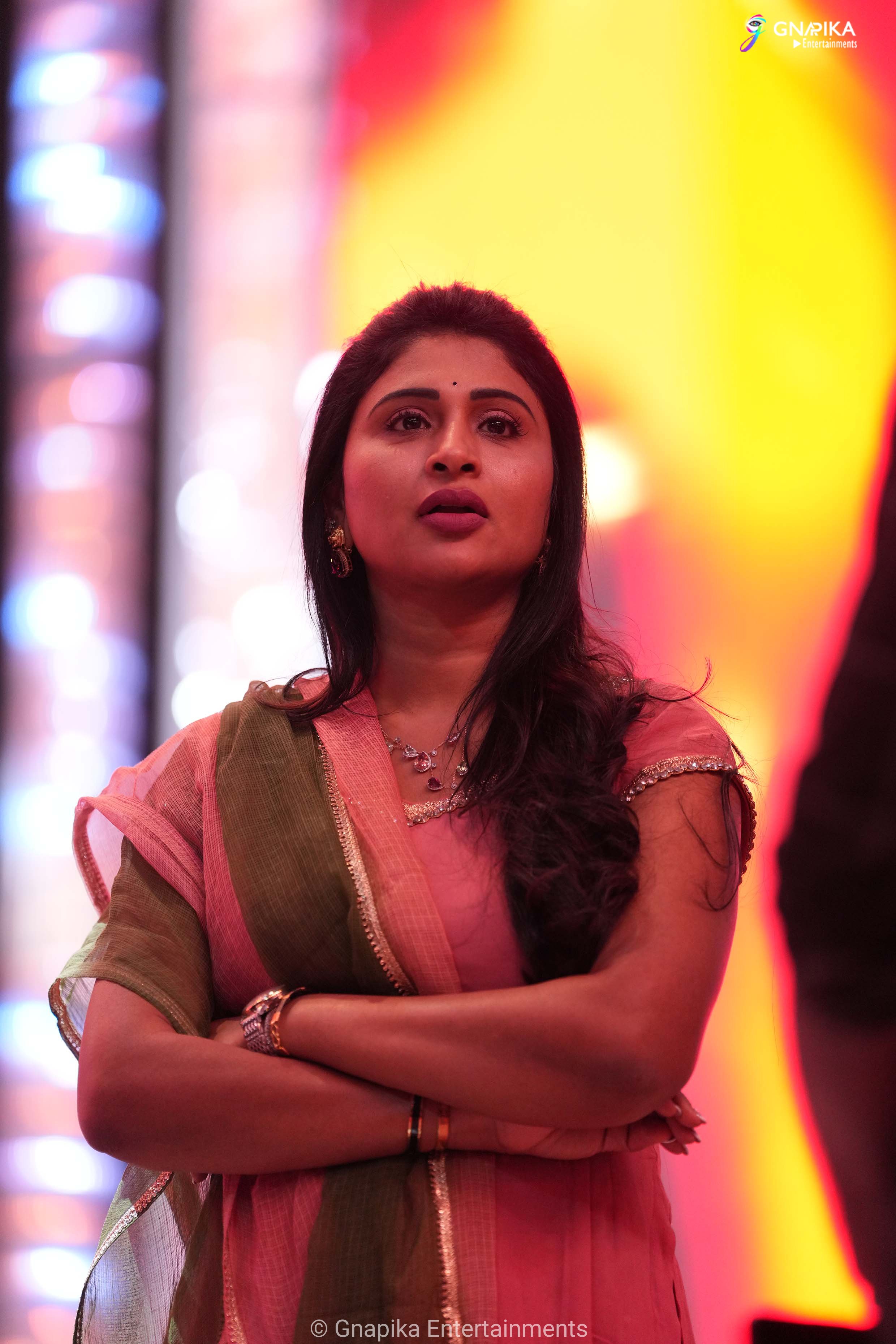 ramoji excellence awards